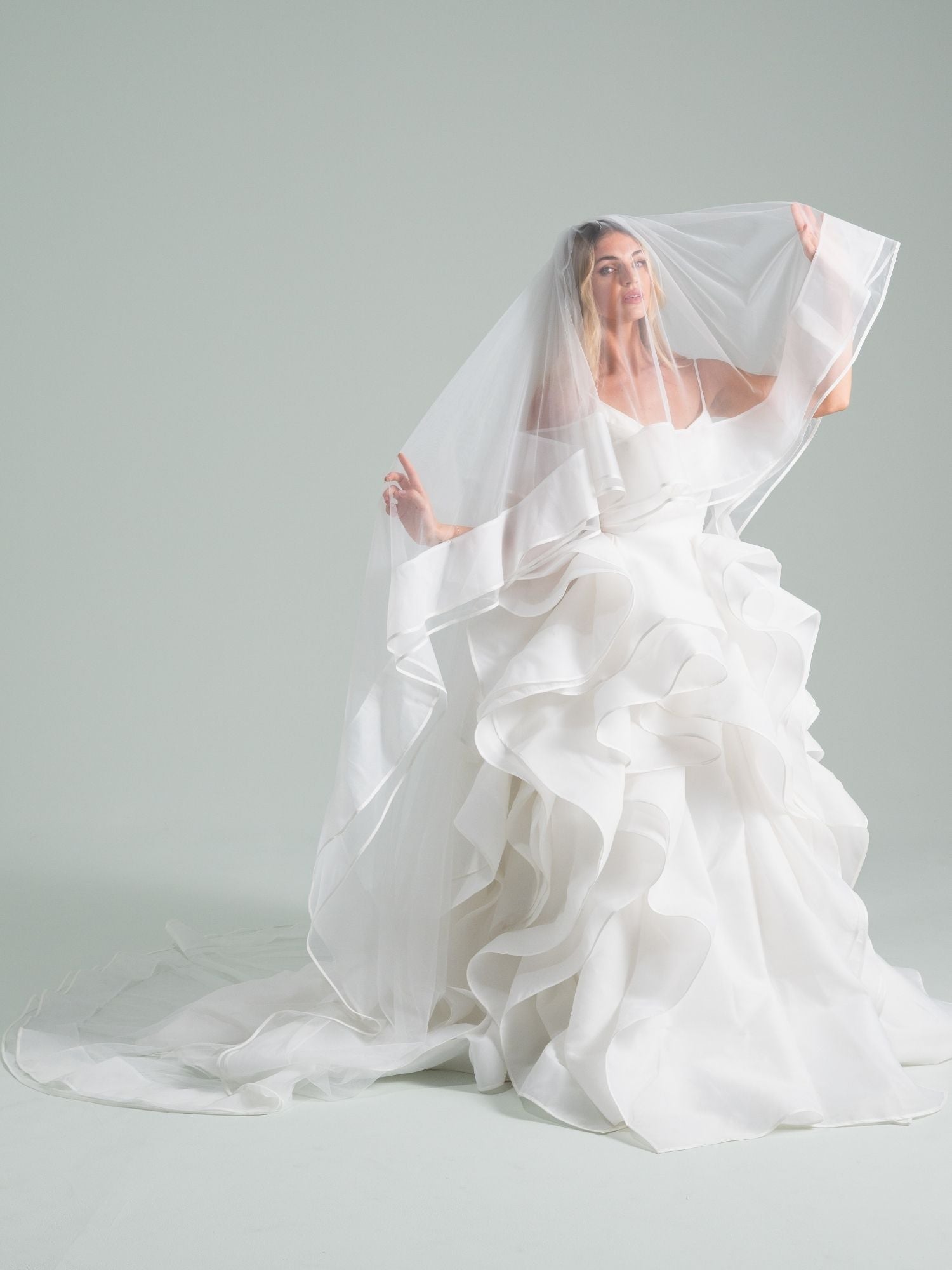 All This and Heaven Too Veil